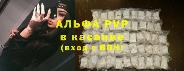 СК Богородицк