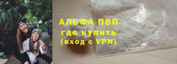 СК Богородицк