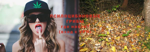 СК Богородицк